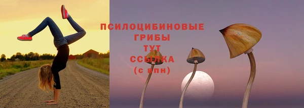 мет Нефтекумск