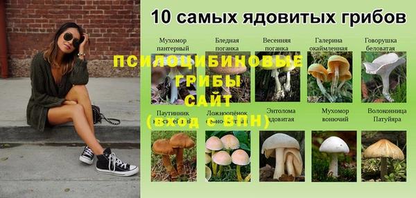 альфа пвп Нея
