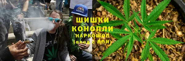 стафф Новодвинск
